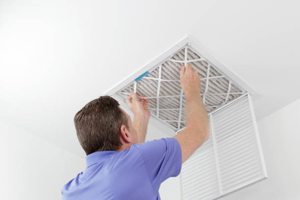 Best Professional Duct Cleaning Services  in Milton, LA